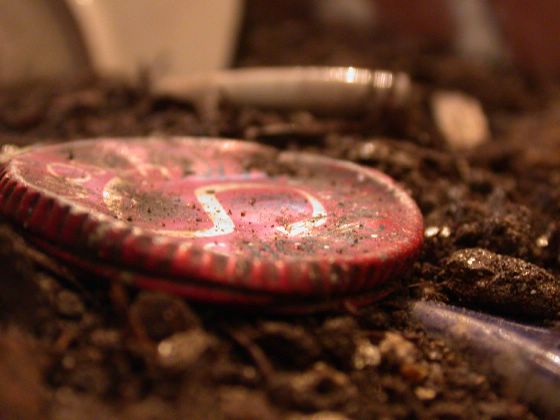 Ein Flaschenverschluss in der Installation aus Fundstcken aus dem alten Stadtteil Protea