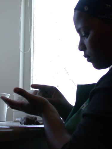 Die Ton-Wurst wird in Stckchen geschnitten und in der Hand zu gleichmigen Kugeln geformt