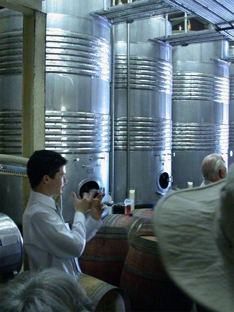 In den groen Kesseln da hinten werden die Frisch geernteten Trauben mit Hefe versetzt und zum Gren gebracht