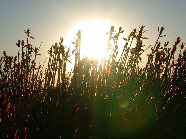 Der Sonnenuntergang ist wohl die schnste Zeit, die man auf dem Berg verbringen kann