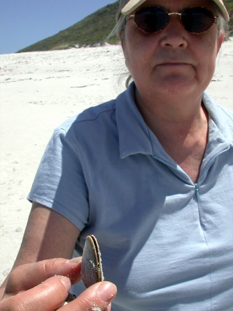 Am Ende ihres Urlaubs ist meine Mutter mit mindestens einer Tonne Muscheln im Gepck abgereist