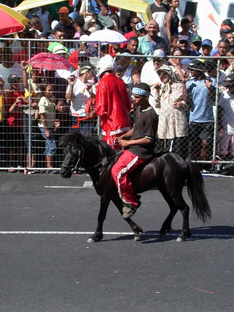 Eine Gruppe in Indianer-Konstuemen brachte sogar das passende Pferd im Mini-Format mit.