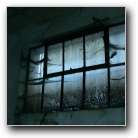 [Click to enlarge image]