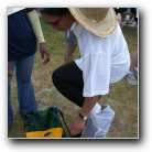 [Click to enlarge image]