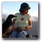 [Click to enlarge image]